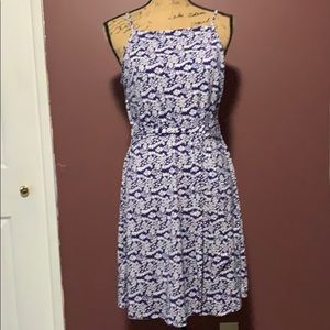 Ann Taylor Loft Dress NWT